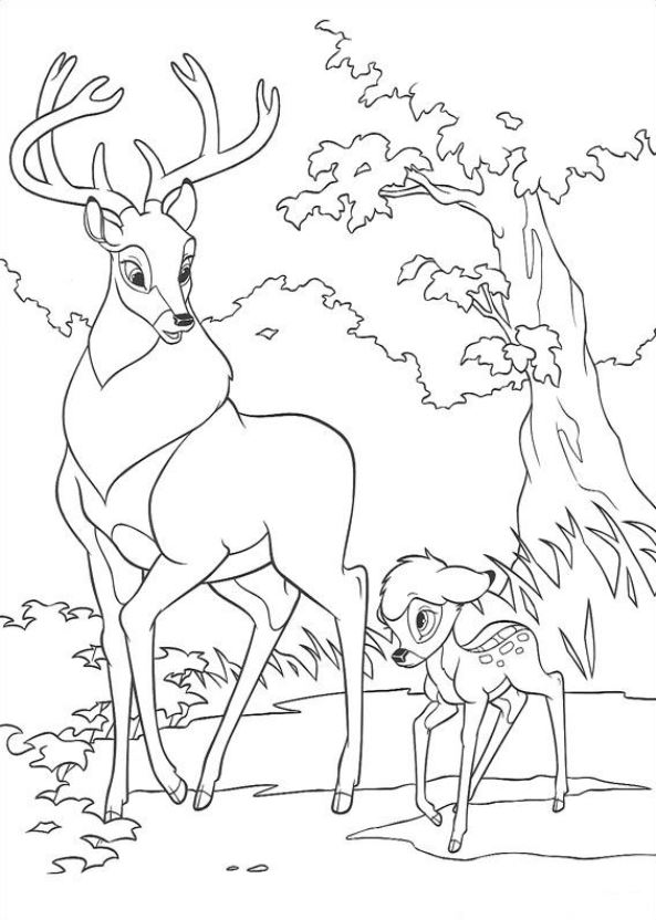 Plansa de colorat cu Bambi 24 17